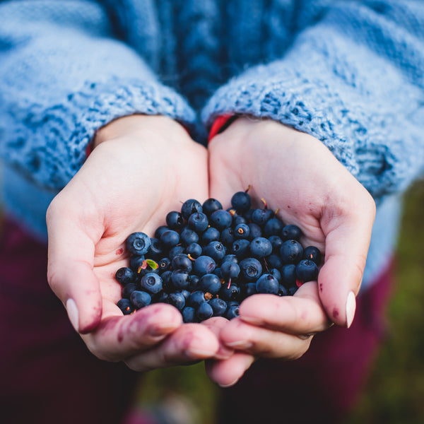 Blueberry Powder